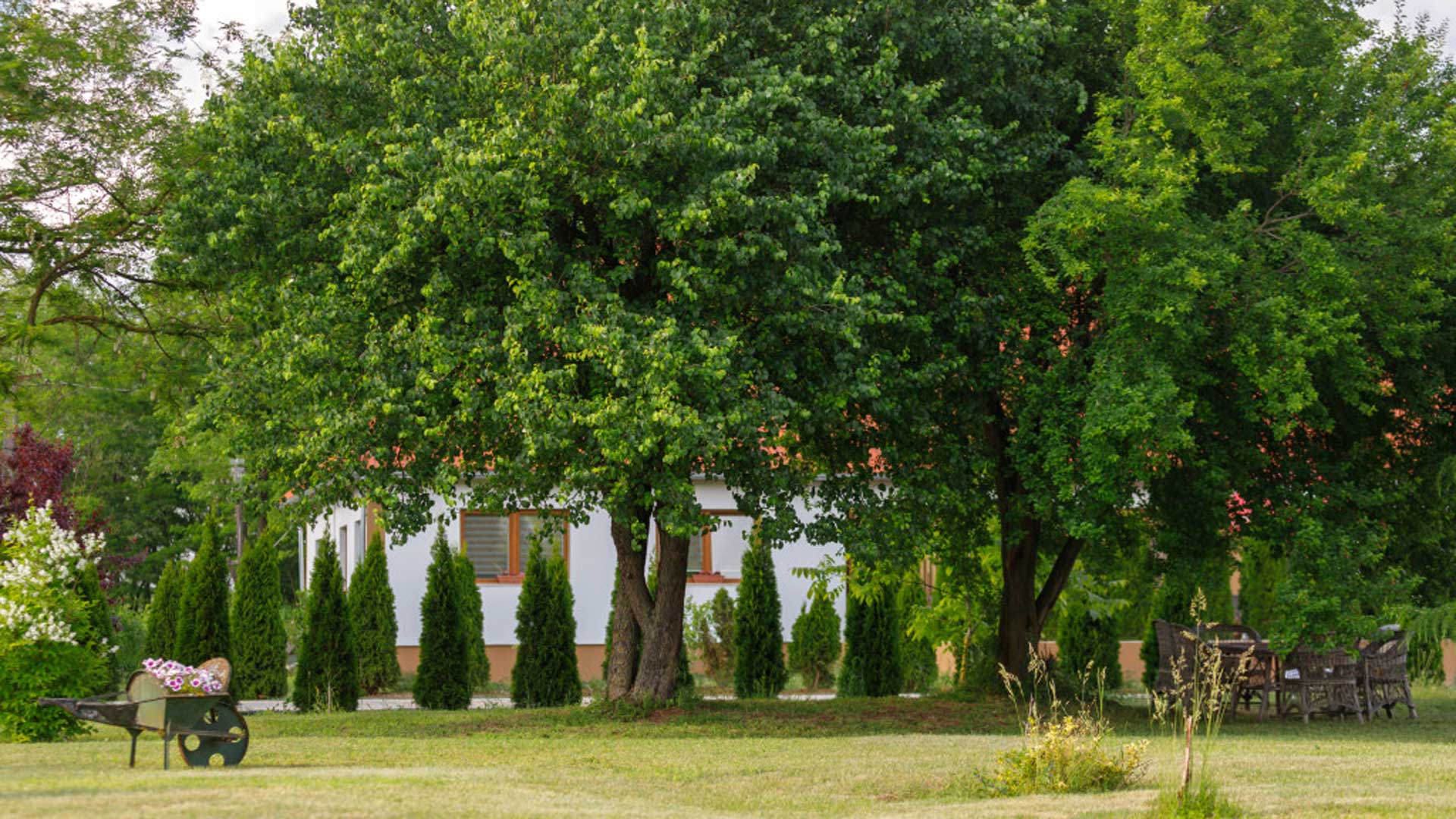 Koma-Vendégház-Bátorliget-03