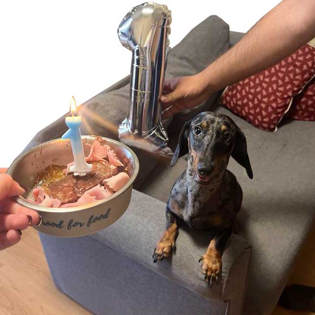 Zoé-és-Zsolt-esküvői-dj-szolgáltatás-fgevents-06